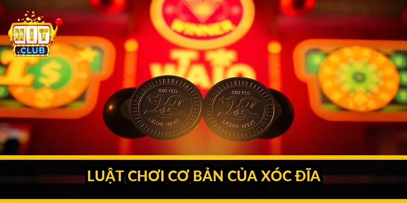 B&agrave;n x&oacute;c đĩa d&ugrave;ng b&aacute;t sứ, đĩa sứ v&agrave; 4 đồng xu hai mặt