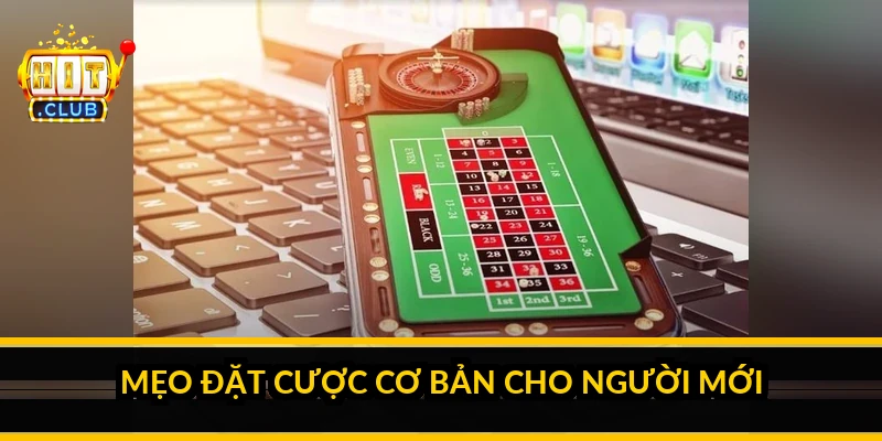 Mẹo đặt cược cơ bản cho người mới