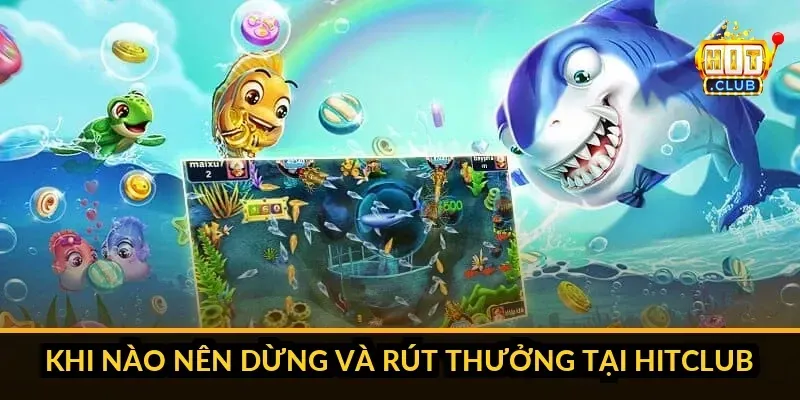 Quản l&yacute; đạn v&agrave; ng&acirc;n s&aacute;ch